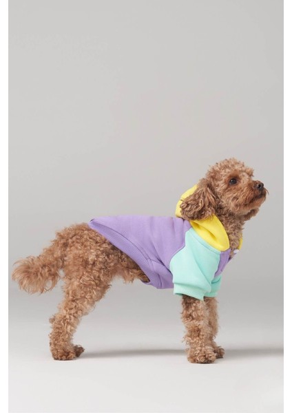 Küçük ve büyük ırk köpek hoodie, Positive köpek kıyafeti 2-45kg fiyatları