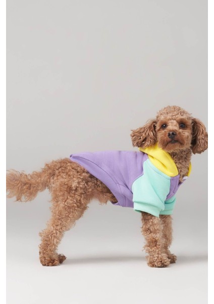 Küçük ve büyük ırk köpek hoodie, Positive köpek kıyafeti 2-45kg modelleri