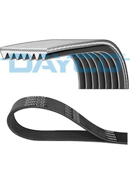 Mtxdpn Kanalli Kayiş