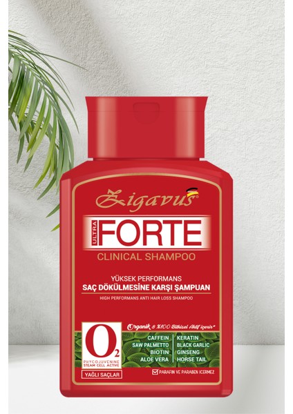 Zigavus Forte Ultra Şampuan Yağlı Saçlar Için 300 ml - 3 Al 2 Öde fiyatları