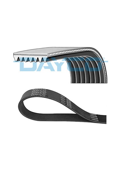 Mtxdpn Kanalli Kayiş