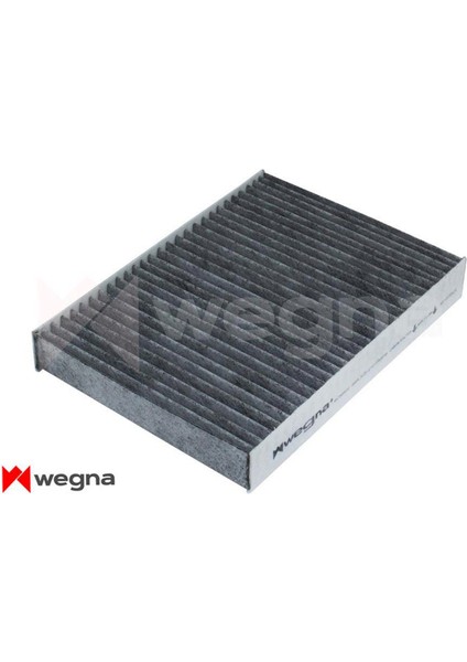 Mtxdpn Polen Filtresi Dacia Dokker 12 Lodgy 12 Renault Express 21 1.2tce 1.3tce 1.5dci 1.6 Karbonlu