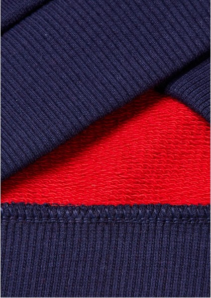 Erkek Çocuk Sweatshirt 503X 1/6 Yaş modelleri