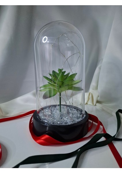Işıklı Fanus Teraryum, Yeşil Sukulent Dekorasyonu, Yeniyıl Hediye Seçeneği fiyatları