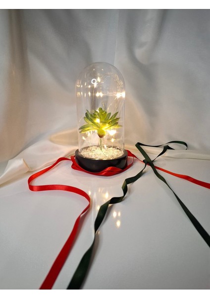 Işıklı Fanus Teraryum, Yeşil Sukulent Dekorasyonu, Yeniyıl Hediye Seçeneği modelleri