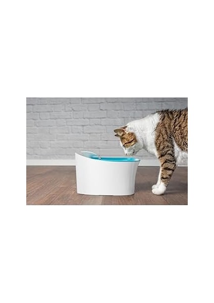 Coofbe Otomatik Akıllı 2.5lt Kedi Su Pınarı Kedi ve Köpekler Için