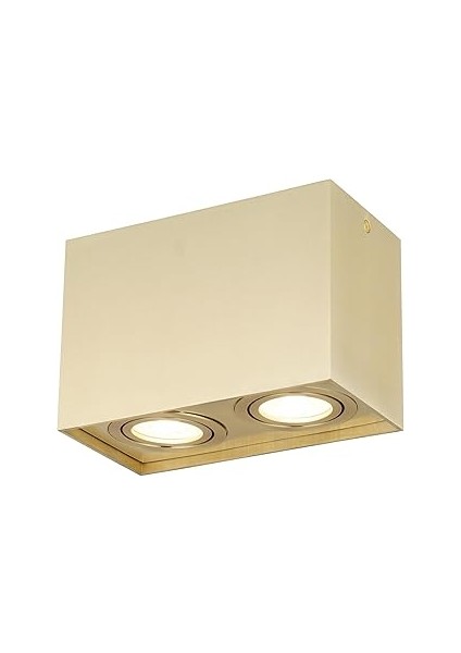 Lucea Medna Antık Dıkdortgen Ikılı Plafonyer 2XGU10