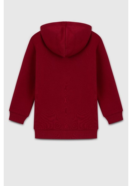 Erkek Çocuk Sweatshirt 23341 4/14 Yaş fiyatları