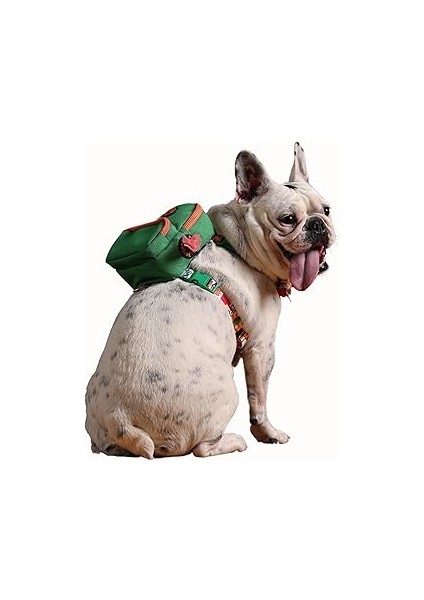 Pawlook Gimme Five Yeşil Çantalı Göğüs Tasması, Köpek Sırt Çantası – Göğüs Tasması Işlevli, Geri Dö
