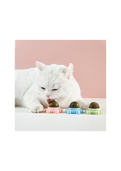 Ti̇neke Catnipli Yenilebilir Kedi Nanesi Otu Yalama Oyun Topu Oyuncağı Yengeç