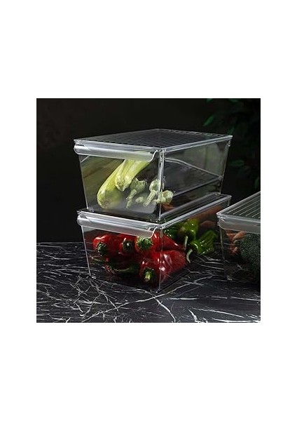 Decobella Pet Buzdolabı Düzenleyici Kapaklı (Xl)