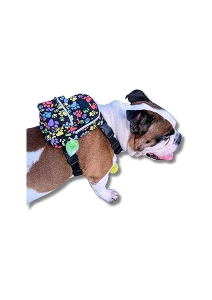 Pawlook Street Köpek Sırt Çantası – Su Geçirmez, Göğüs Tasması Fonksiyonlu, Ayarlanabilir Ren