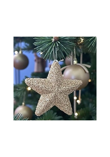 Yilbaşi Ağaç Süsü 15CM Yildiz Şampanya AST7216