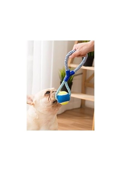 Halatlı Köpek Çiğneme Topu, ve Sarı Renkli