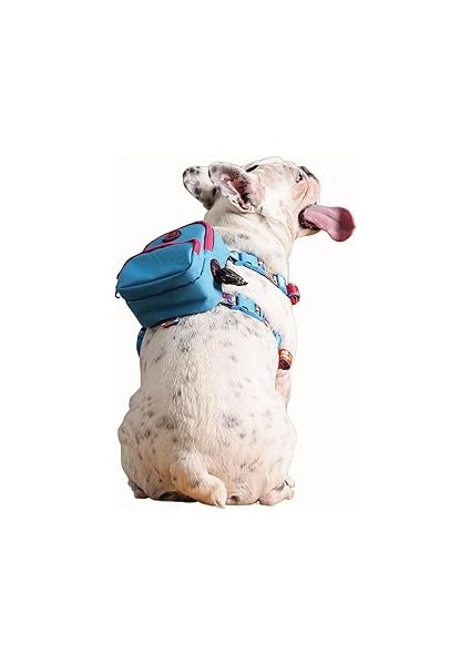 Pawlook Gimme Five Çantalı Göğüs Tasması Large Recycled