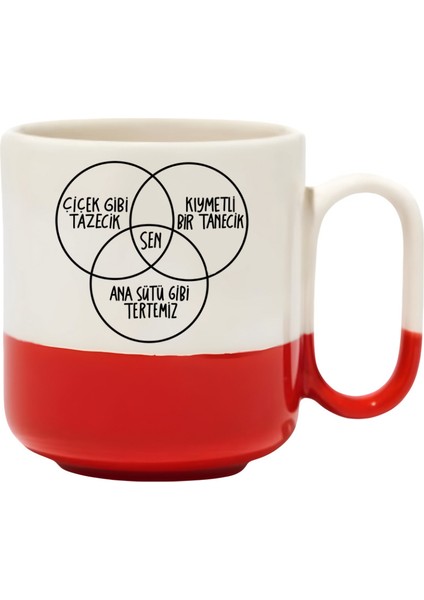 Çiçek Gibi Tazecik Kıymetli Bir Tanecik Ana Sütü Gibi Tertemiz=sen Pro Kupa - Hediye Seramik Kupa