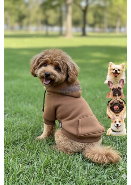 Köpek Elbisesi, Köpek Hoodie, Pembe Magnet, Küçük Irk Köpekler