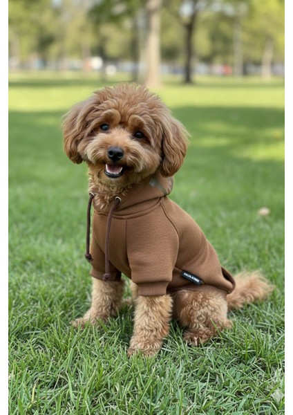 Köpek Elbisesi, Köpek Hoodie, Pembe Magnet, Küçük Irk Köpekler modelleri