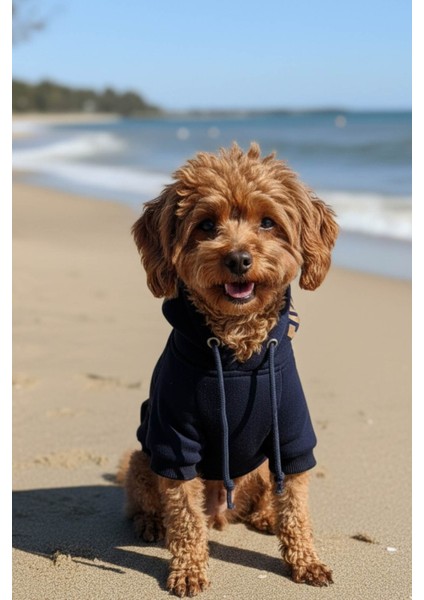 Köpek Elbisesi, Köpek Hoodie, Pembe Magnet, Küçük Irk Köpekler