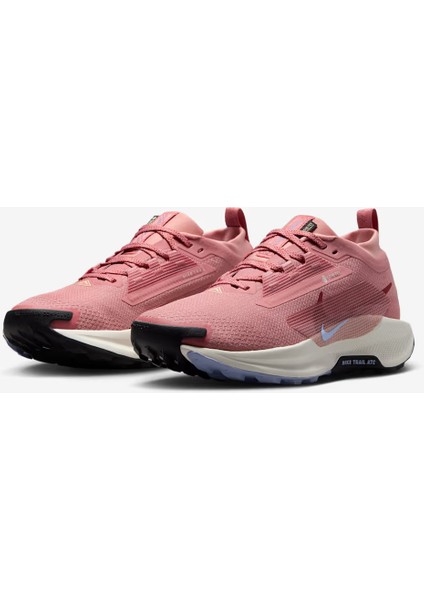 Pegasus Trail 5 Gore-Tex FQ0912-602 fiyatları