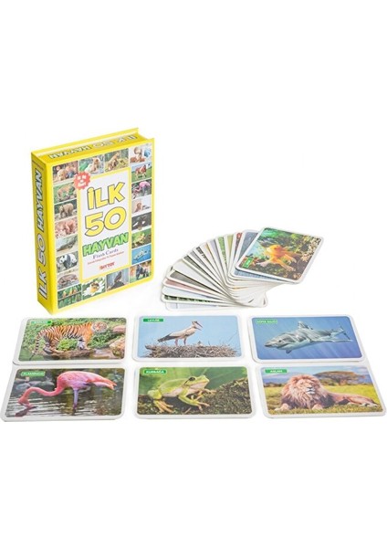3'lü Eğitim Seti ( Ilk 50 Sözcük + Ilk 50 Hayvan + Ilk 50 Sebze Meyve Eğitici Oyuncak 150 Parça Kart modelleri