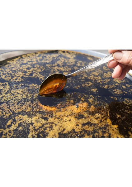 Köy Yapımı Organik Üzüm Pekmezi 1 kg modelleri