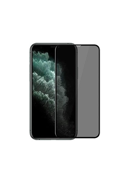 Microsonic 11 (5.8'') Privacy 5d Gizlilik Filtreli Cam Ekran Koruyucu Siyah