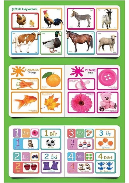 Eğitici Ilk Kitaplarım 6 Lı Set Sayılar,renkler,zıt Kavramlar,şekiller,hayvanlar,ilişki Kurma fırsatları