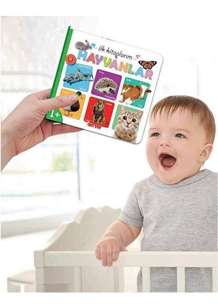 Eğitici Ilk Kitaplarım 6 Lı Set Sayılar,renkler,zıt Kavramlar,şekiller,hayvanlar,ilişki Kurma indirimleri