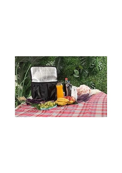 Escenay Sıcak Soğuk Tutucu Çanta Termal Kamp Piknik Plajda Paket Servis Çantası Ölçüleri : 40 * 25