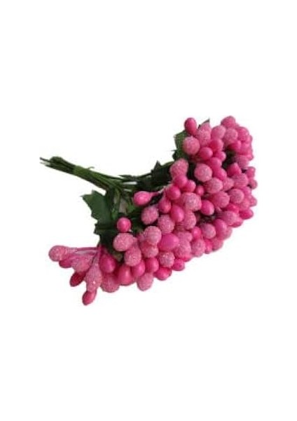 Benim Marifetlerim - Fuşya Çiçek Cipso 1 Demet