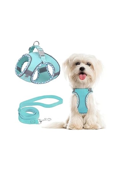 Bolivia's Küçük Köpek Tasması ve Kayışı, S Kodu Çekme Yok Ayarlanabilir Yansıtıcı Nefes Alabilir Fi