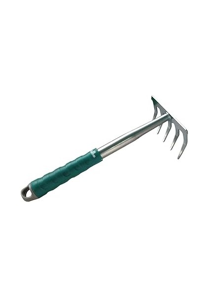 53484 C/s Çi̇çek Tirmiği