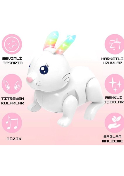 Oyuncak Müzikli Işıklı Pilli Hareket Eden ve Zıplayan Sevimli Tavşan Emekleme Yardımcı Eğitici Sesli ve Işıklı fiyatları