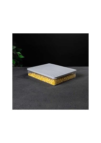 Decobella Derin Dondurucu Saklama Kabı 3 L