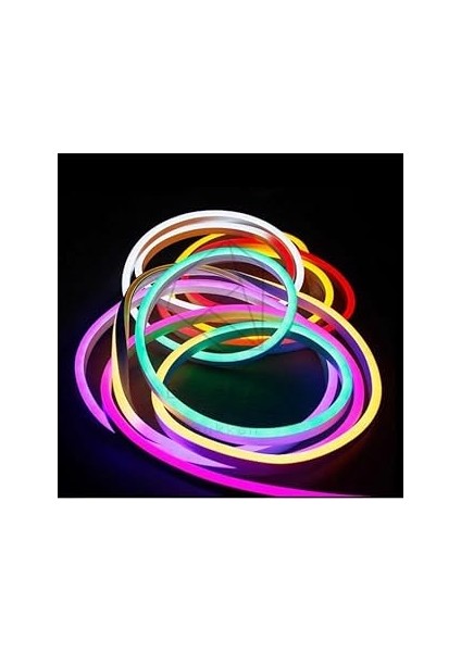 12V 5 Metre Rgb Neon LED Prize Tak Çalıştır Kumandalı Neon Esnek Neon Şerit LED
