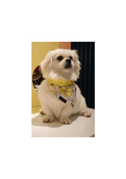 Patiset Baykuş Desenli Sarı Köpek Fuları Bandanası Köpek Kıyafeti Sarı Xs