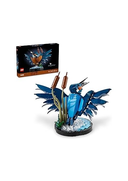 Icons Yalıçapkını Kuşu 10331 - Kuş Sever Yetişkinler Için Koleksiyonluk, Sergilenebilir Yaratı