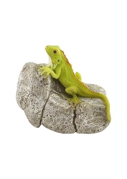 Top Minyatür Peri Bahçesi ve Teraryum Kaya Heykeli Üzerinde Iguana