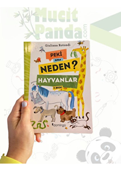 Peki Ama Neden? Hayvanlar Bilim Kitabı Giuliana Rotondi 9-12 Yaş Aralığı İçin modelleri