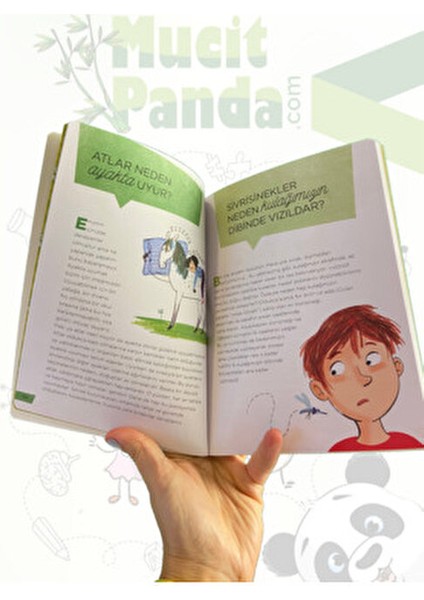 Peki Ama Neden? Hayvanlar Bilim Kitabı Giuliana Rotondi 9-12 Yaş Aralığı İçin fırsatları