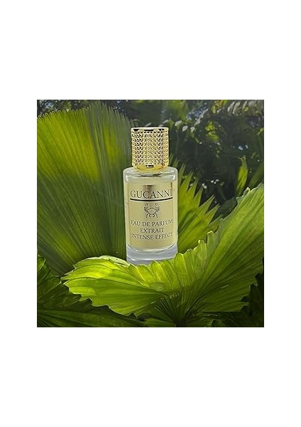 Gucanni Terre'd 75ML Edp Erkek Parfüm Kalıcı (Biz Daha Iyisini Yapana Kadar En Iyisi B