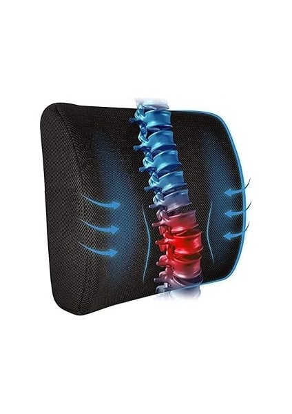 Eryatex Ortopedik Sırt Bel Minderi Ofis Sandalye Oturma Minderi Bel Destek Yastığı Sırt Minderi San