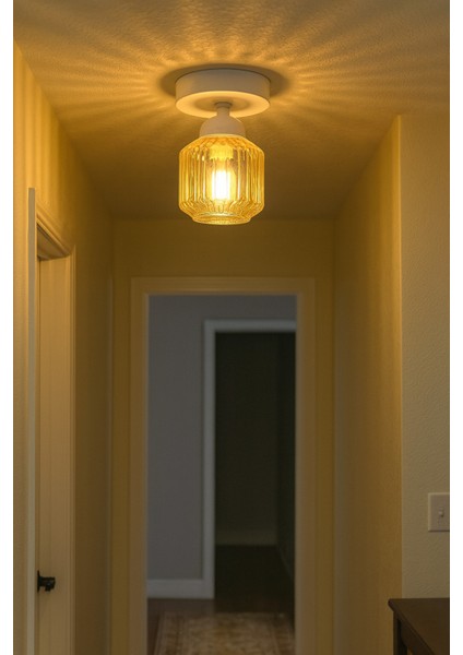 Eriksen Modern Tasarım Antre Hol Mutfak Çocuk Odası Plofonyer Tavana Sıfır Minimal Camlı Tekli Avize