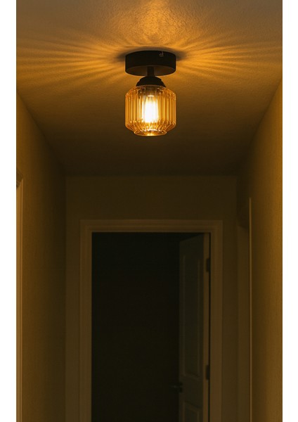 Eriksen Modern Tasarım Antre Hol Mutfak Çocuk Odası Plofonyer Tavana Sıfır Minimal Camlı Tekli Avize