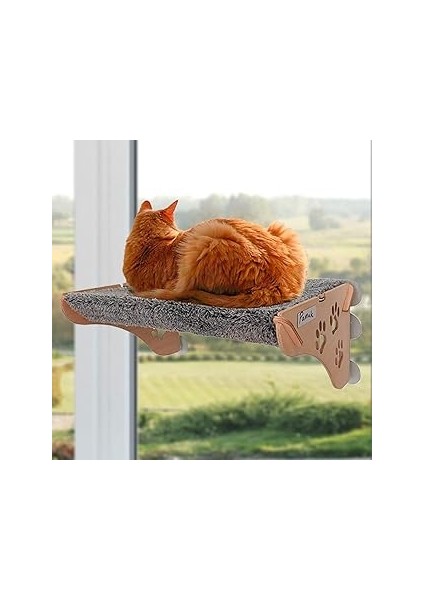 Ata Cama Yapışan Kedi Yatağı