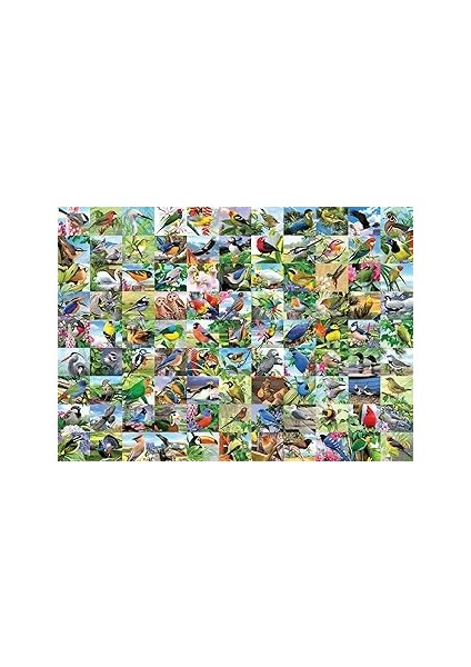 Ravensburger 99 Delightful Birds Yetişkinler Için 300 Parça Büyük Format Yapboz - 16937 - Her Parça