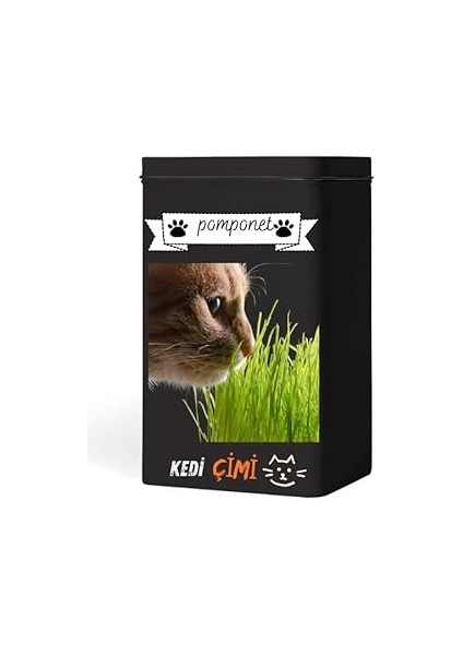 Evde Kolay Yetiştirme – Pomponet Kedi Çimi ile Yıl Boyu Yeşillik!