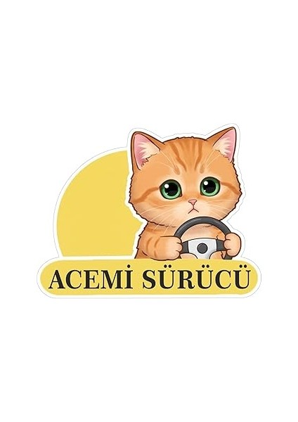 Parti Tasarla Acemi Sürücü Sevimli Kedi Araba Etiketi & Sticker Çok Renkli