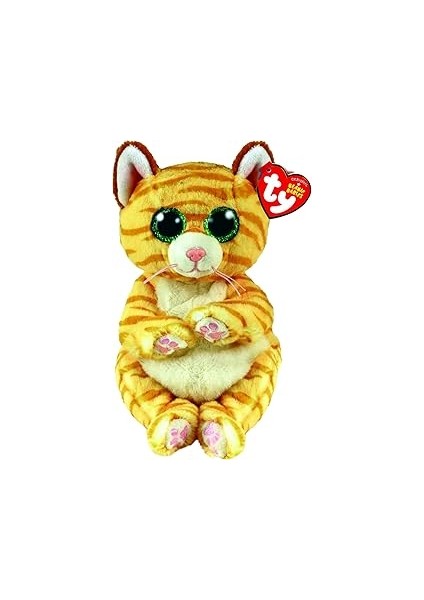 Ty Morgan Kedi Bere Bellie